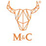 M&C Matrix cilinder met kerntrekbeveiliging - SKG***